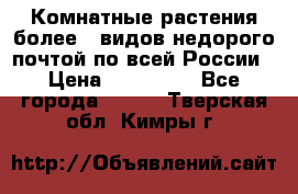 Комнатные растения более200видов недорого почтой по всей России › Цена ­ 100-500 - Все города  »    . Тверская обл.,Кимры г.